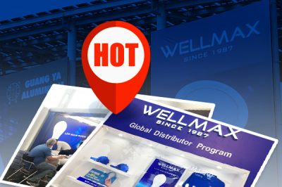 WELLMAX’s GDP Achieves a Whopping 5,560,000$ on Autumn Exhibitions WELLMAX’s GDP Achieves a Whopping 5,560,000$ on Autumn Exhibitions