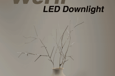 ¡Aquí Está El Producto LED Más Nuevo Que Sus Consumidores Realmente Querían!