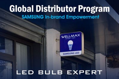What’s in the WELLMAX GDP Program? What’s in the WELLMAX GDP Program?