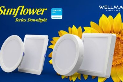 🌻Explore las versiones empotradas y superficial: Sunflower Series Downlight Gen 2