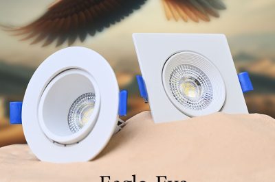 🦅Eagle Eye Series Spotlight-En cualquier momento, en cualquier lugar