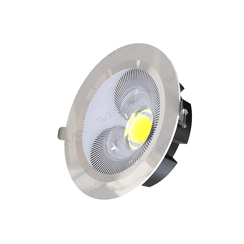 Apollo Serie de Downlight