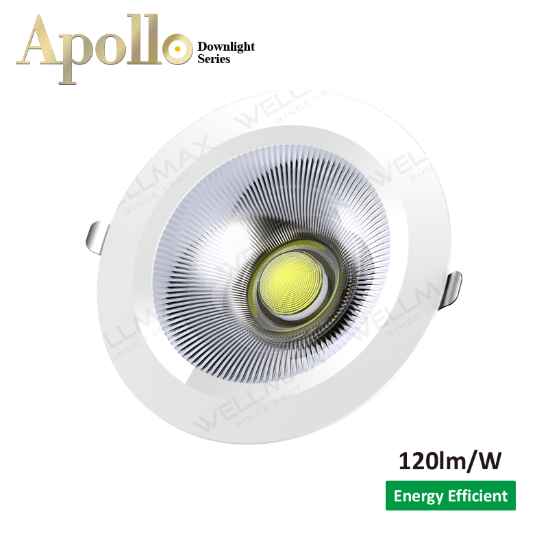 Apollo Serie de Downlight