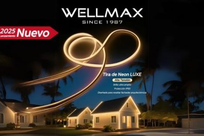 ¡Nuevas Llegadas!  Conoce la Nueva Tira Neon