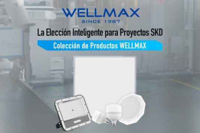 Elección inteligente para SKD — WELLMAX