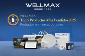 Descubre los Top 5 productos más vendidos de WELLMAX en 2025 →
